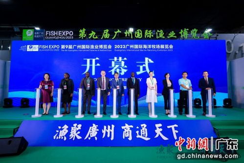 廣州國(guó)際漁博會(huì)集中呈現(xiàn)全品類(lèi)水產(chǎn) 生猛海鮮亮相