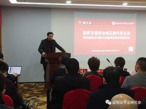 邢臺梅花拳發展懇談會 在河北邢臺平鄉璽瑞酒店會議廳隆重召開