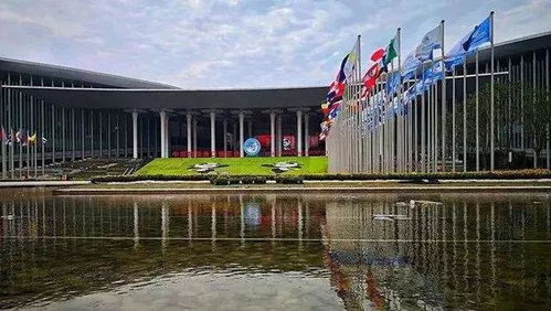 與世界共享農(nóng)業(yè)未來 世界農(nóng)產(chǎn)品點亮中國進博會